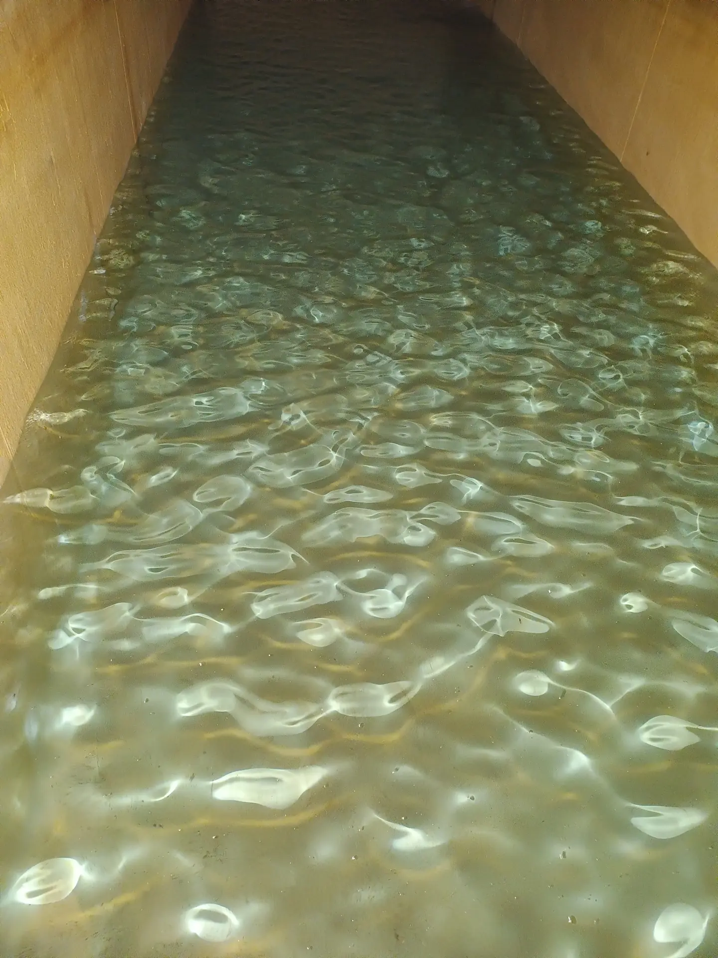 Estanque de acumulación de agua